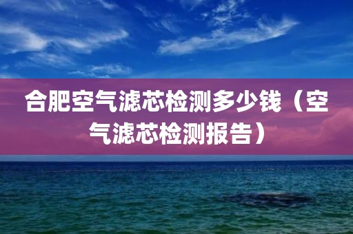 合肥空气滤芯检测多少钱（空气滤芯检测报告）