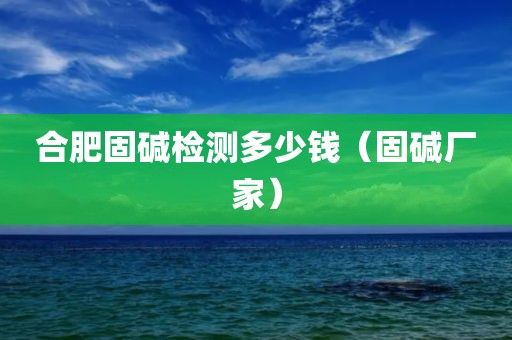 合肥固碱检测多少钱（固碱厂家）